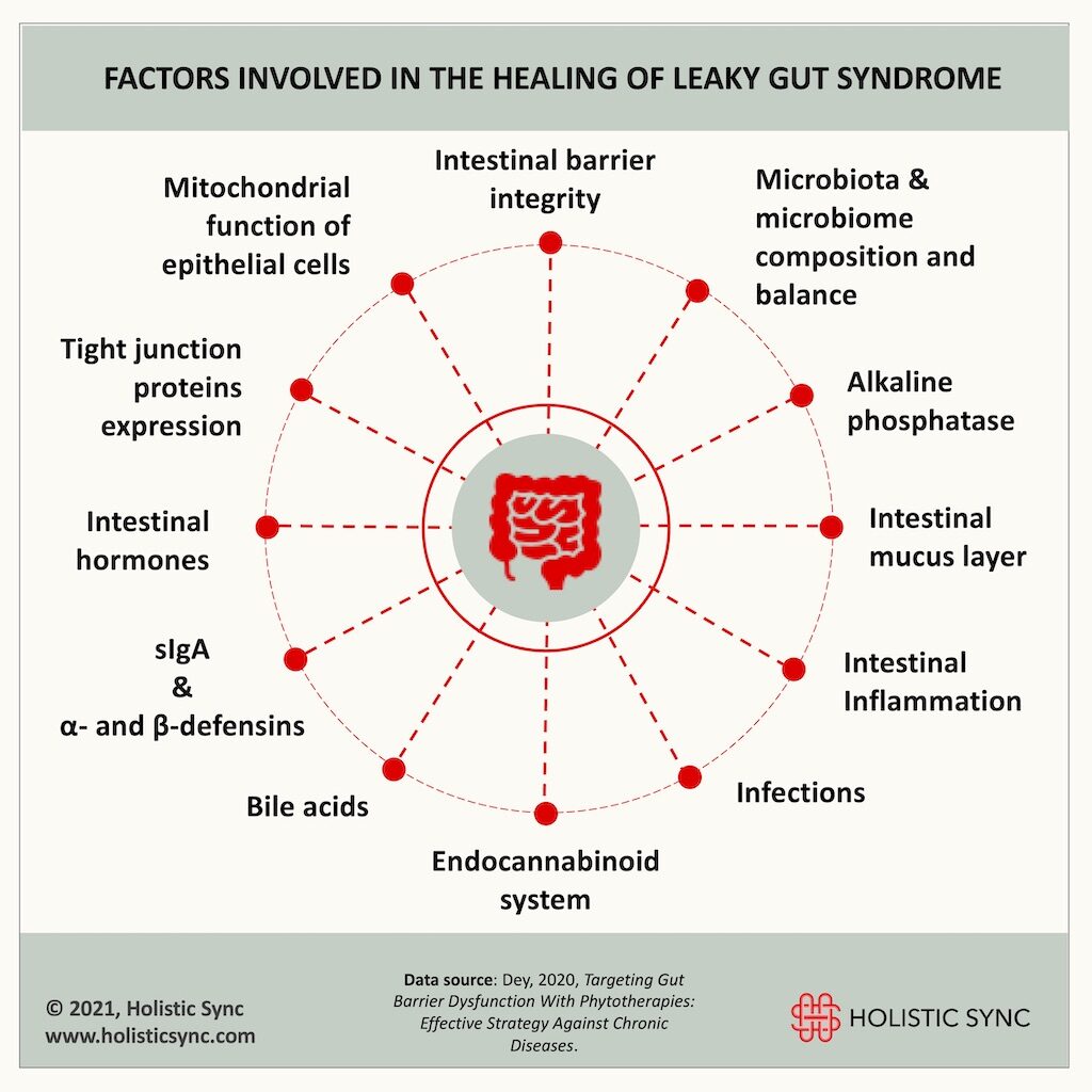 Factors involved in the healing process of leaky gut, 2021 © Holistic Sync, www.holisticsync.com