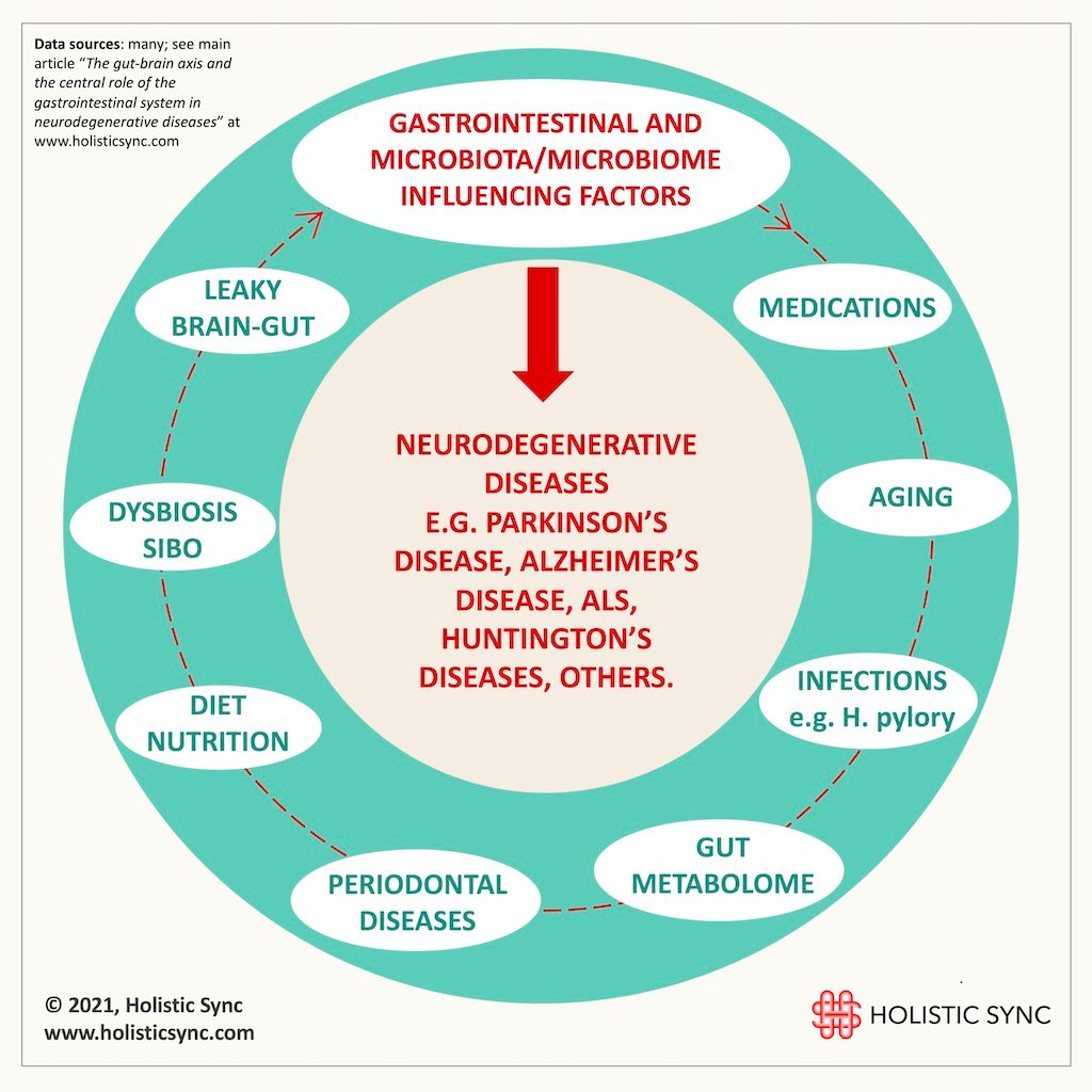 The microbiota-gut-brain axis and the central role of the ...