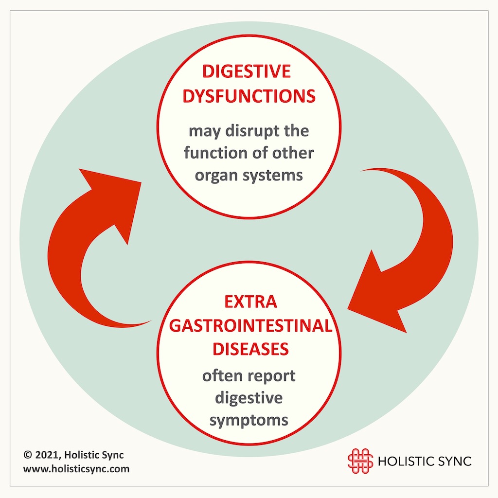 The connection between digestive dysfunctions and extra-gastrointestinal diseases, Holistic Sync, 2021